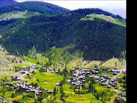 Ali Şahin-Yar Gelir