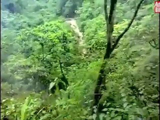 Carretera de la Muerte (II)