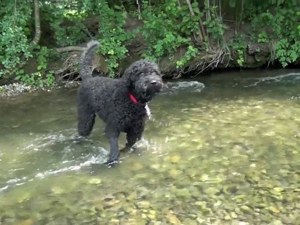 Aragons 7.Geburtstag