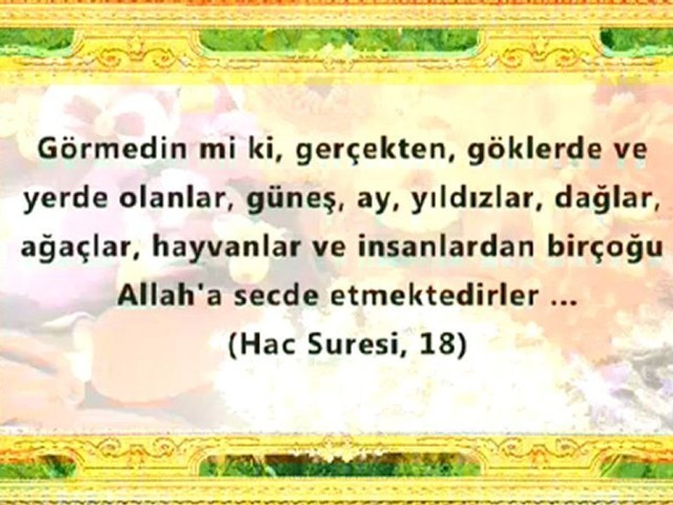 Allah'ın Güzelliklerinden Bir Demet 2