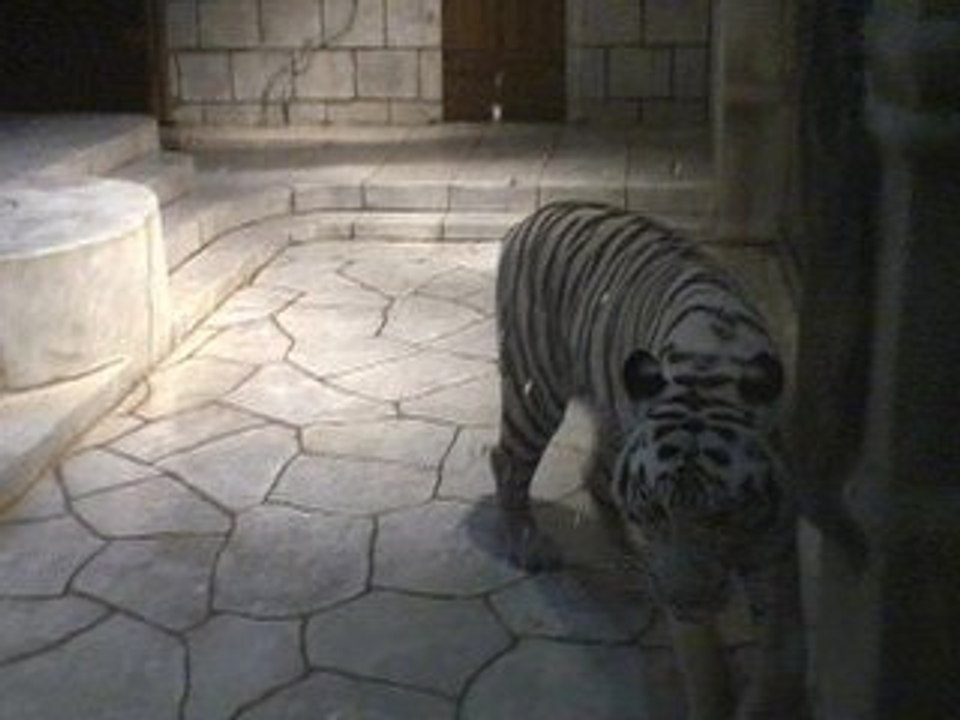 White Tiger 2