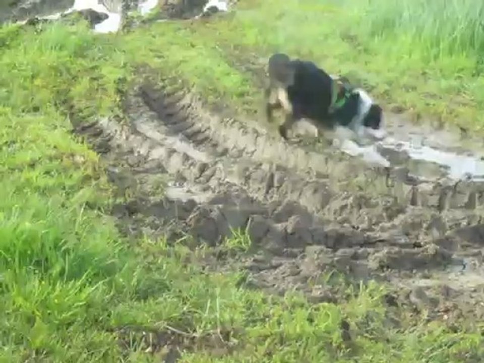 fourby prend un bain