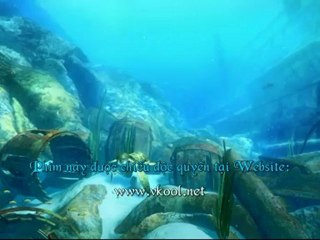 A Turtles Tale Sammys Adventures_clip4