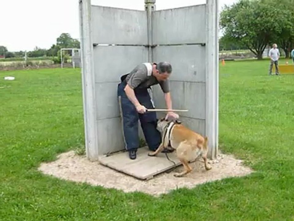 Gibb's 10 mois decouverte Ha