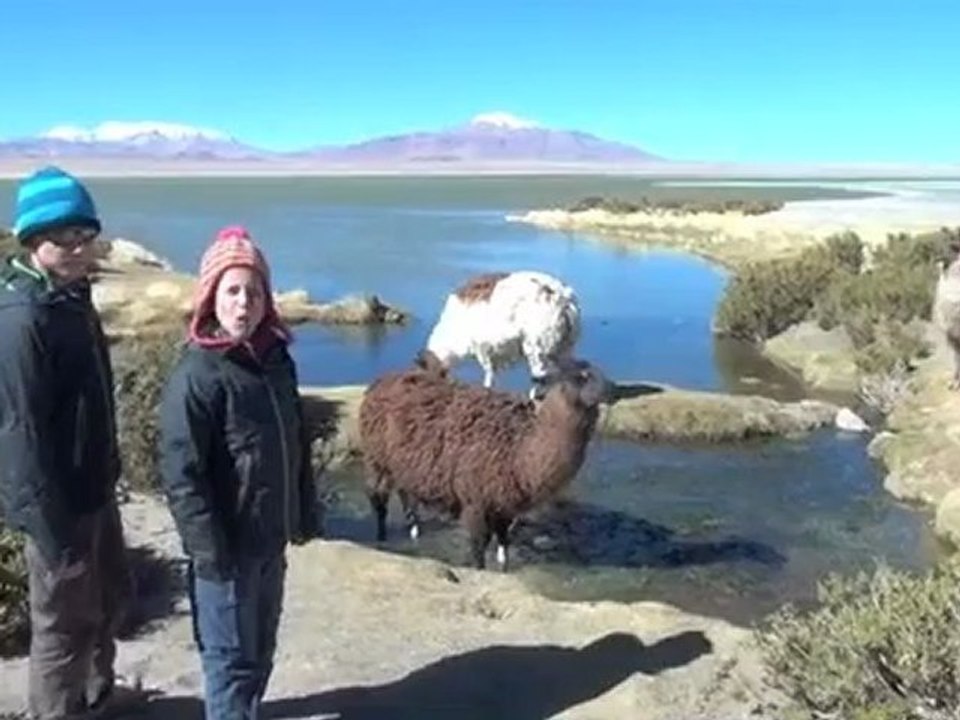 Atacama 1 - Chili