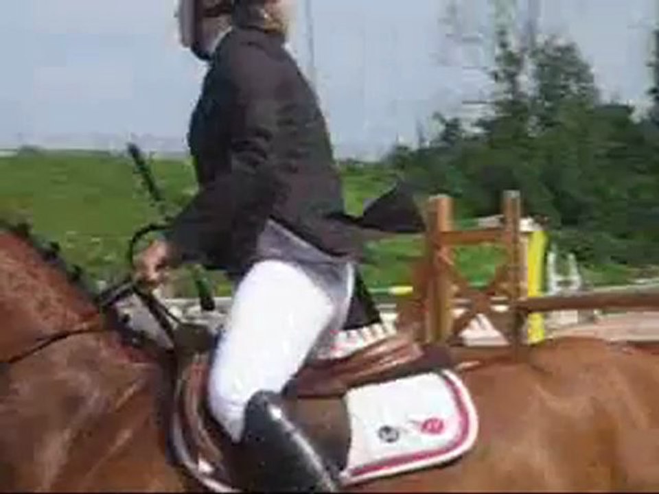 ASSIR DE NAVARRE-TDA CHAZEY 2012-AS EXCELLENCE