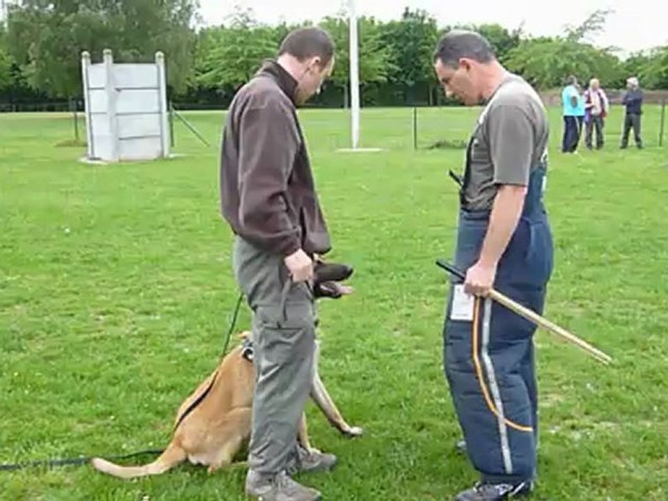 Gibb's 10 mois defense du maitre