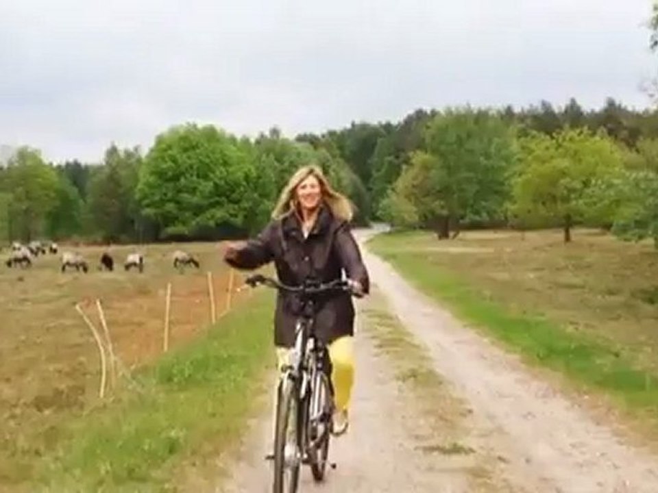 L?neburg - Vacationing with a viewer from the USA | Discover Germany