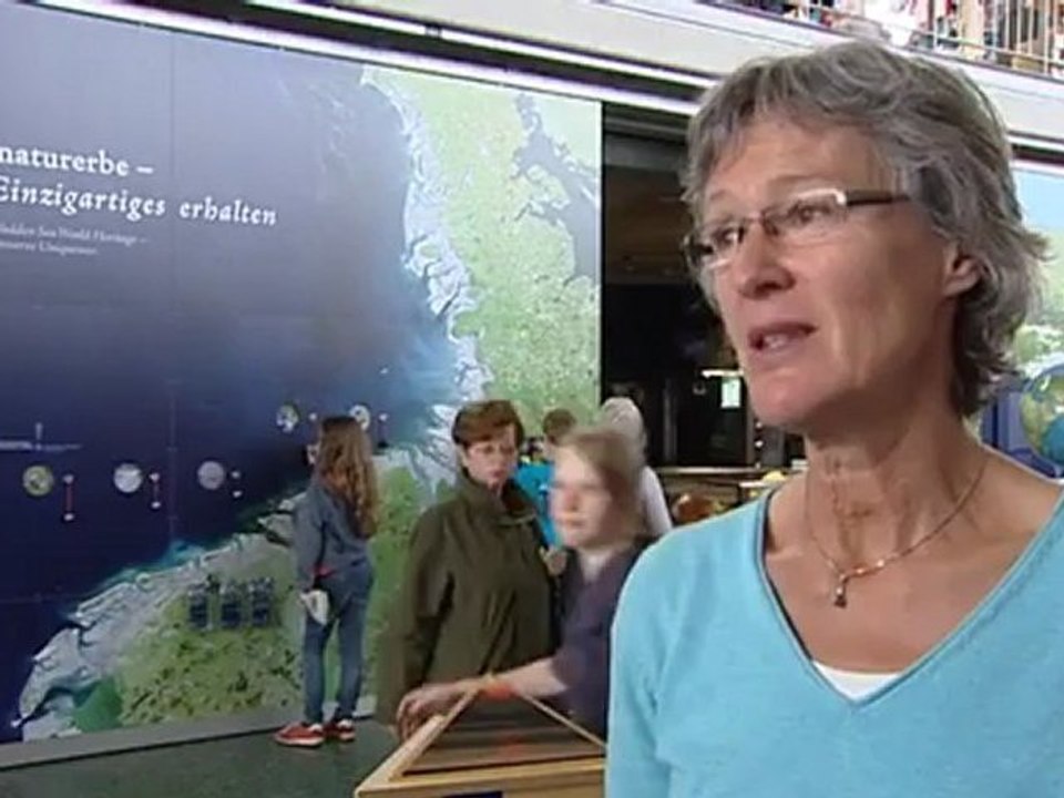 Wadden Sea - Relaxing in tune with nature | Discover Germany