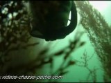 Bar chasse sous-marine - Caméra GoPro HD et chesty GoPro