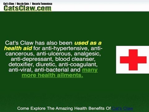 Explore The Amazing Natural Health Benefits Of Cat's Claw