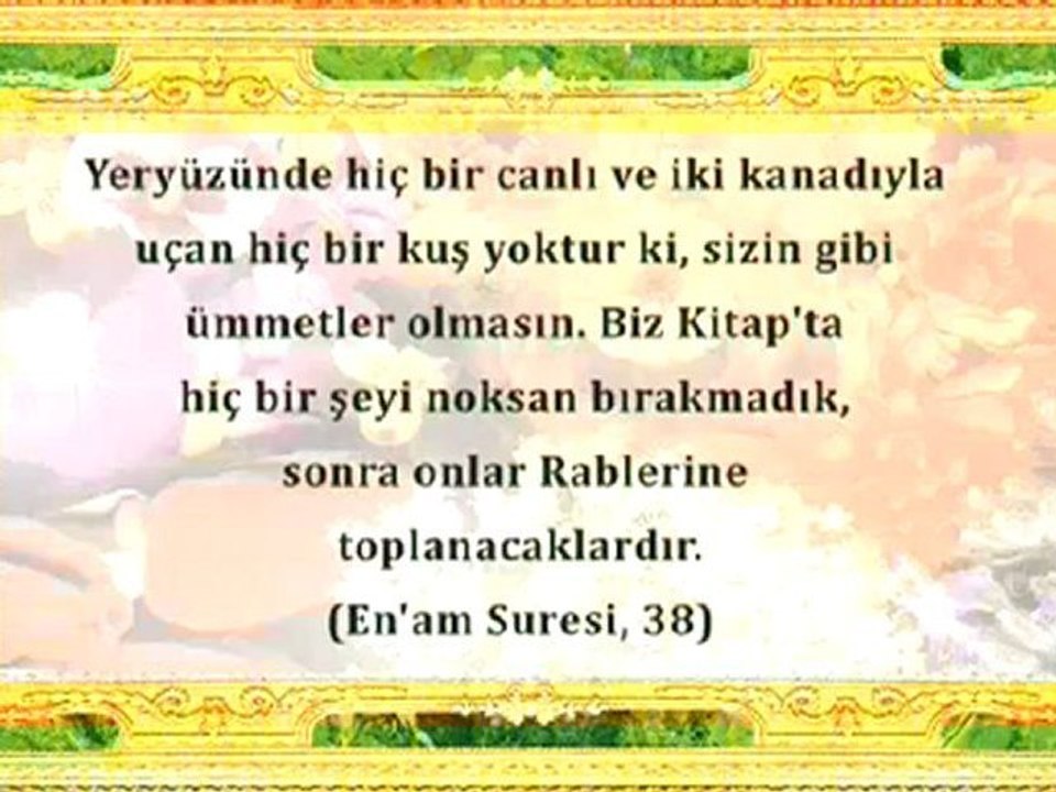 ALLAH'IN GÜZELLİKLERİNDEN BİR DEMET - 1