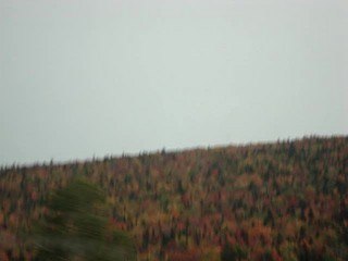 Paysage vers Tadoussac