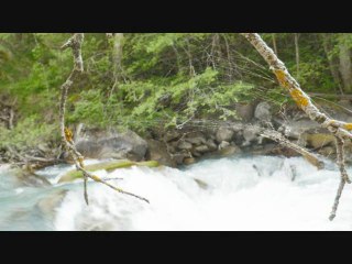 peche de la truite en torrent le 2 juin 2012