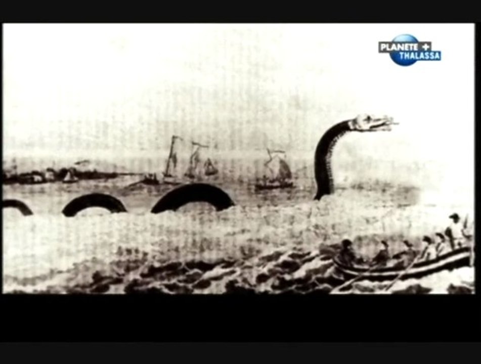 Un serpent sous la mer