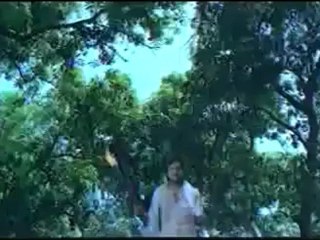 Padi Parantha Kili kethes