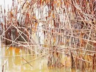 Fault Lines Promo - In Deep Water: A Way of Life in Peril