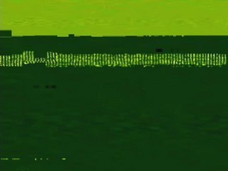 Arco 10 mis 32 kg  ( maintenant il a 2 ans et pese 43 kg )