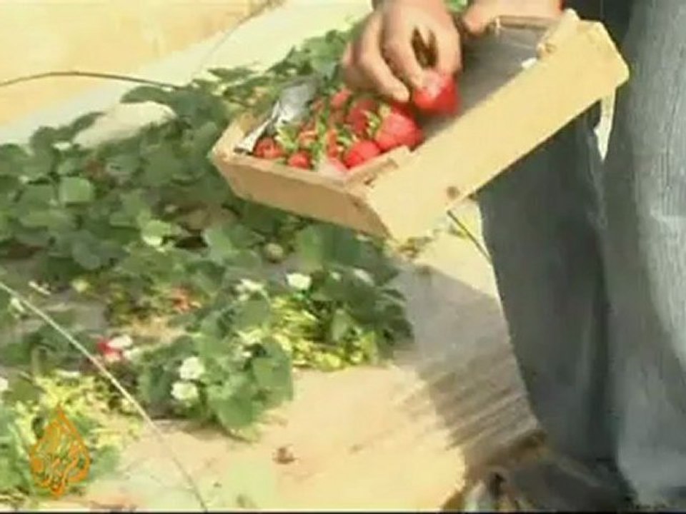 Concerns over Gaza blockade "ease"