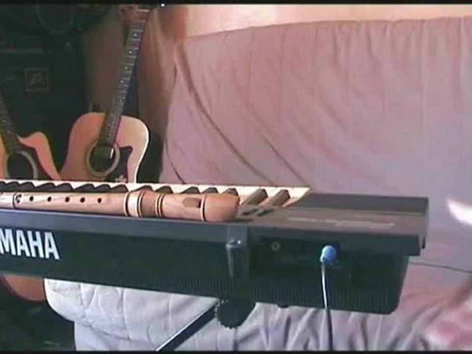 La revanche des geeks - theme cover (Giani Caserotto)