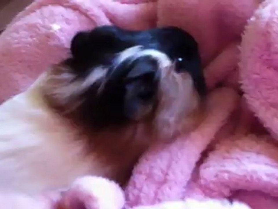 Moka