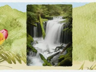 Self Help | Self Confidence