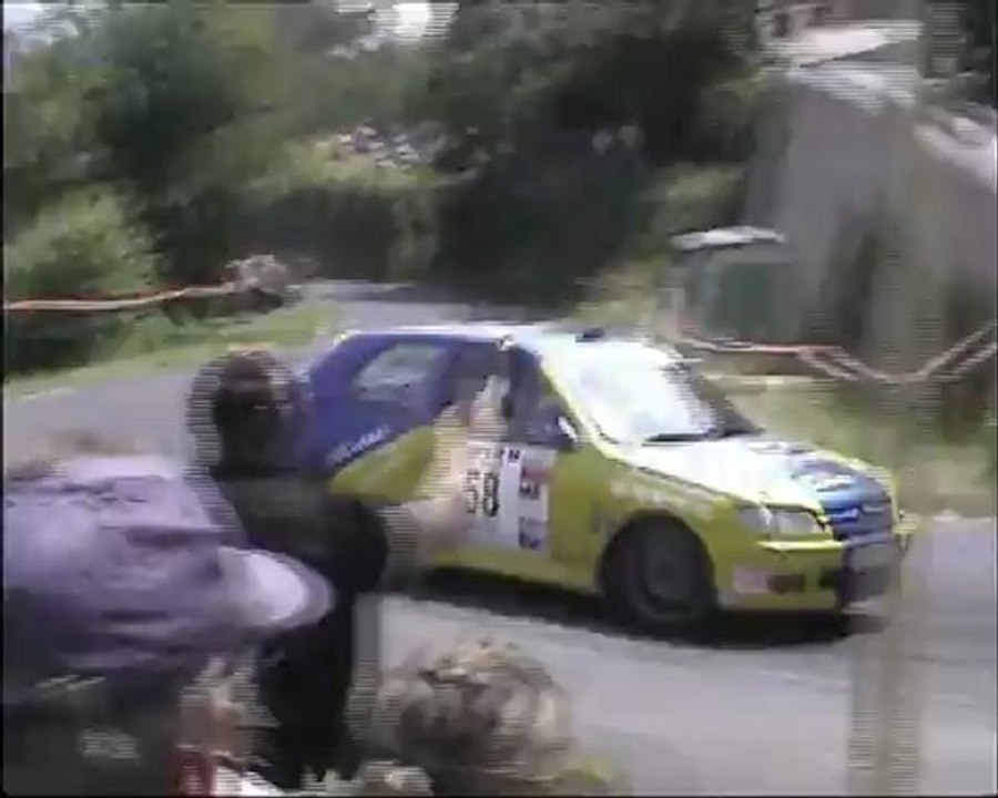 Rallye du Pays Viganais 2012