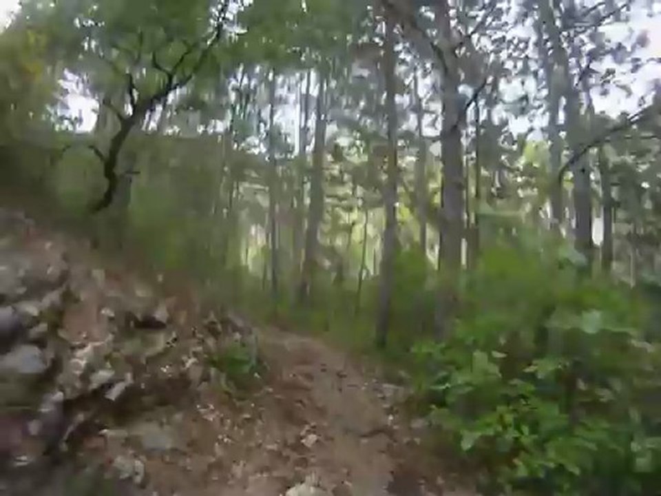 Petite Traversée des Alpes
