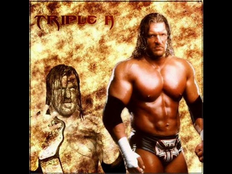 LES CATCHEURS DE LA WWE