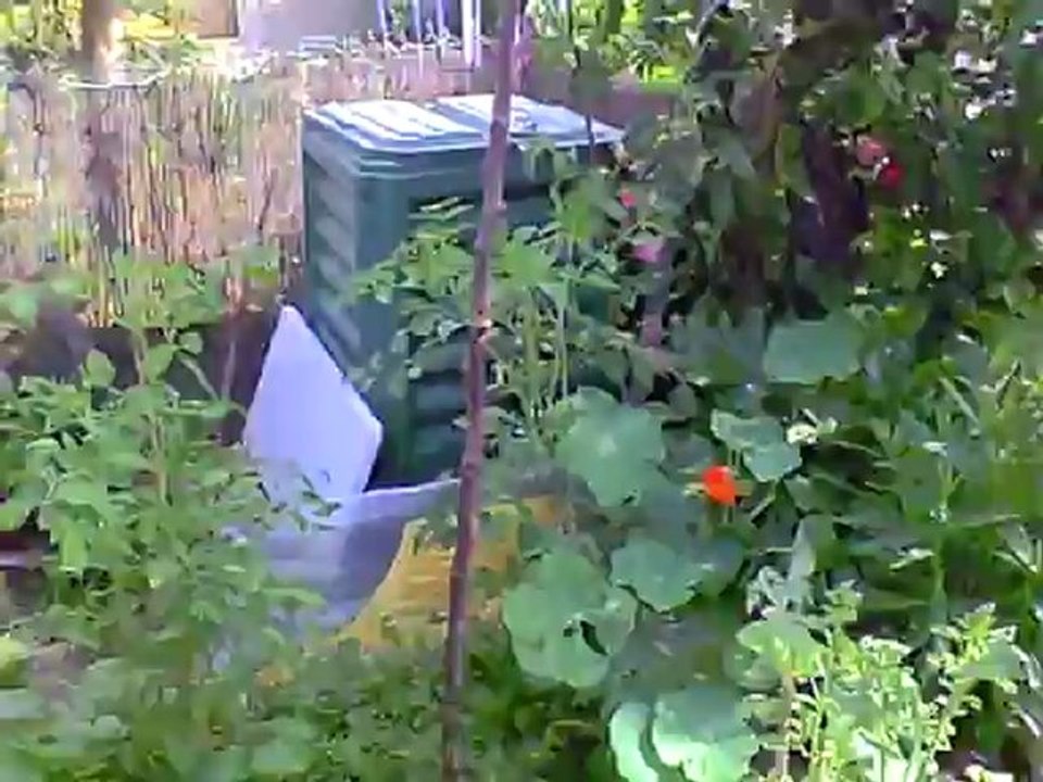 Premier week-end de juin au jardin...