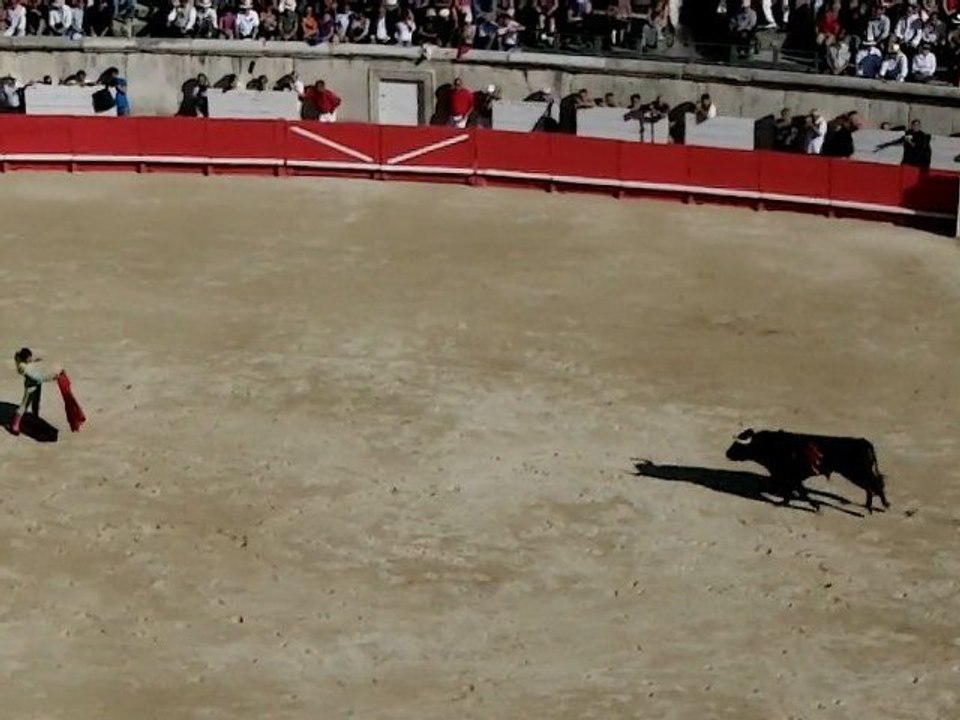 Faena Castano solo Miura