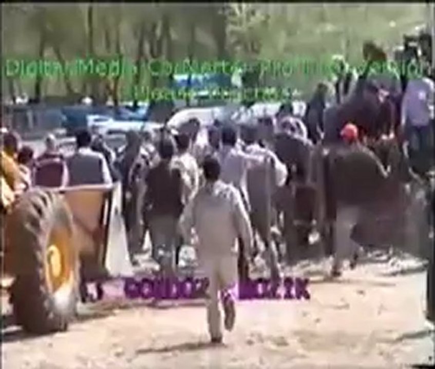 Yusufeli 12.Derekapı Boğa Güreşleri 2012 / Deste Boy Final Güreşi