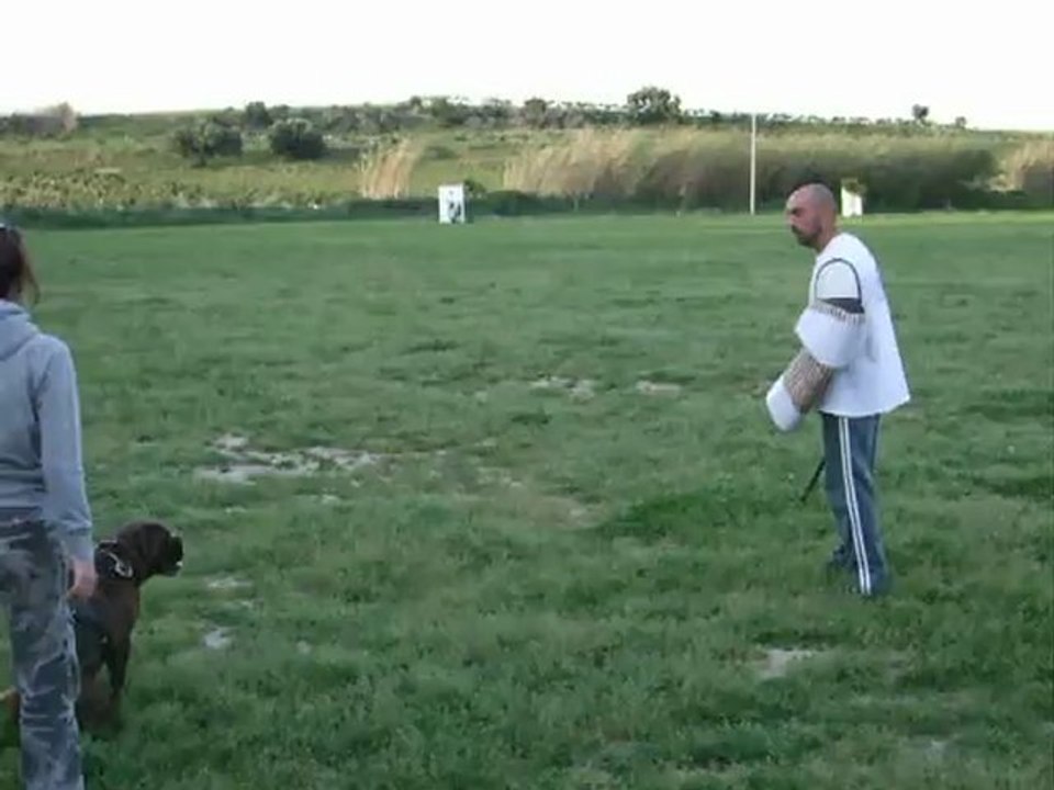 Entrainement à l'élastique Fuite de l'HA