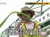 荒川クリーンエイド：日本テレビは子供を被曝させて荒川の安全デマを広めている