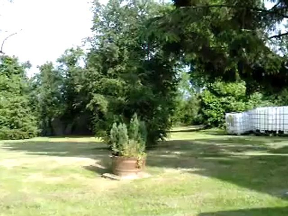 matheo  1er lecon de conduite !! a 4 ans