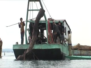 Les bûcherons de Nam Ngum