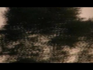 F-16 Démo Team belgian Air Force