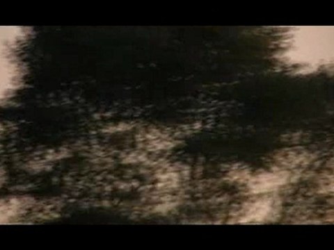 F-16 Démo Team belgian Air Force