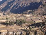 Pérou - Canyon de la Colca