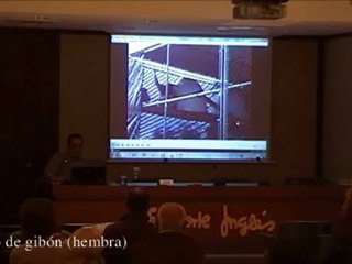 Arte y Lenguaje Animal 04 - Gibones - Prof Manuel Lafarga