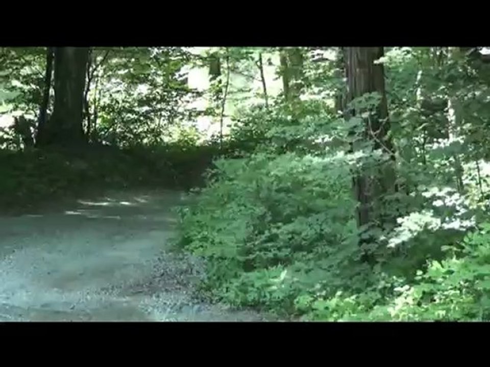 rallye du chablais 2012