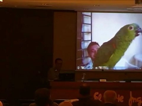 Arte y Lenguaje Animal 07 - Loros Musicales - Prof Manuel Lafarga