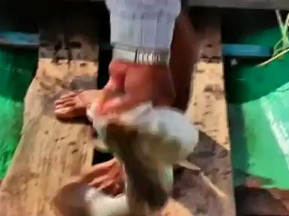 หลงกรุง  วันที่ 3 มิถุนายน 2555