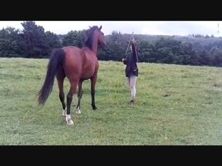 Séance jeux 03-06-12