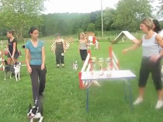 Certificat 2012 : goliath et sonia