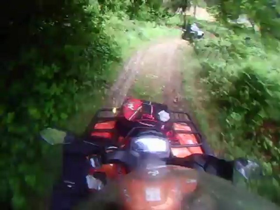 petites routes  et chemins en Nord Cotentin