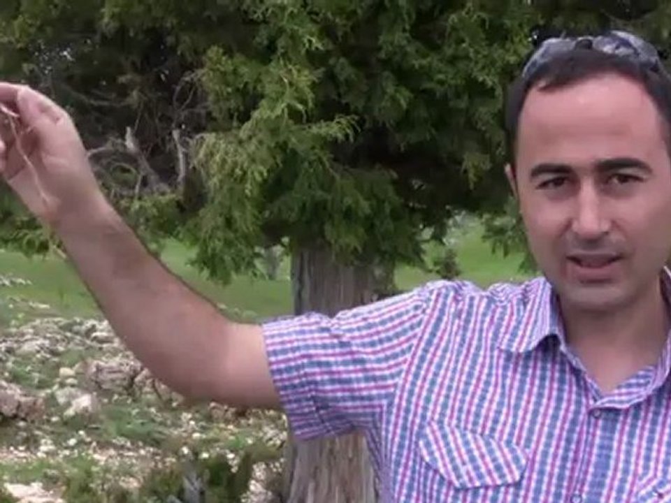 ELMAAĞACINDA KOMİK FIKRALARLA GÜLÜYORUZ