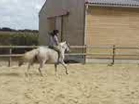 Hamalh et Laura, Ecuries du bout du monde