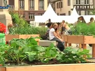 Quand agriculture rime avec développement durable (Alsace)