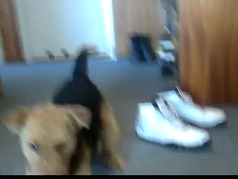 Reklama sportu ;)-20120603-10071159357461